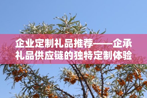 企业定制礼品推荐——企承礼品供应链的独特定制体验